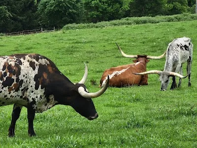 Preservation Distillery + Farm destination photo 8